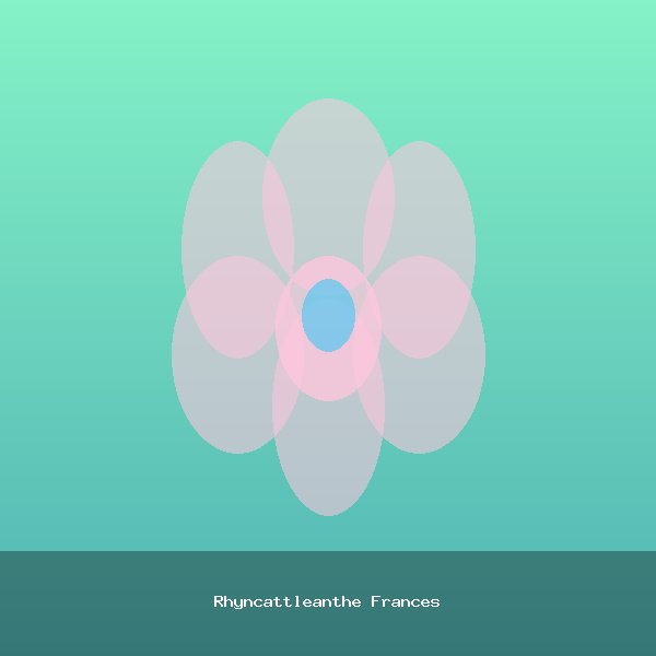 Rhyncattleanthe Frances