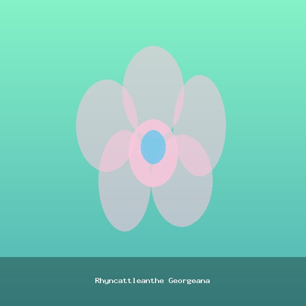 Rhyncattleanthe Georgeana