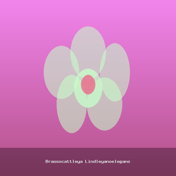 Brassocattleya Lindleyanoelegans