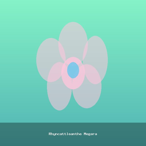 Rhyncattleanthe Megara