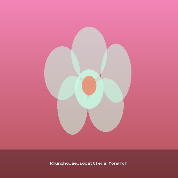 Rhyncholaeliocattleya Monarch