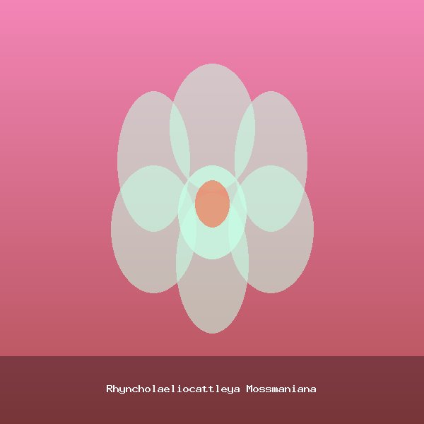 Rhyncholaeliocattleya Mossmaniana