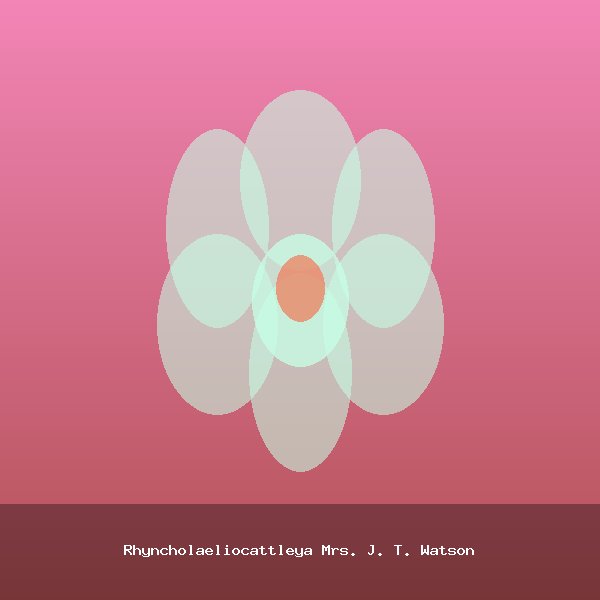 Rhyncholaeliocattleya Mrs. J. T. Watson