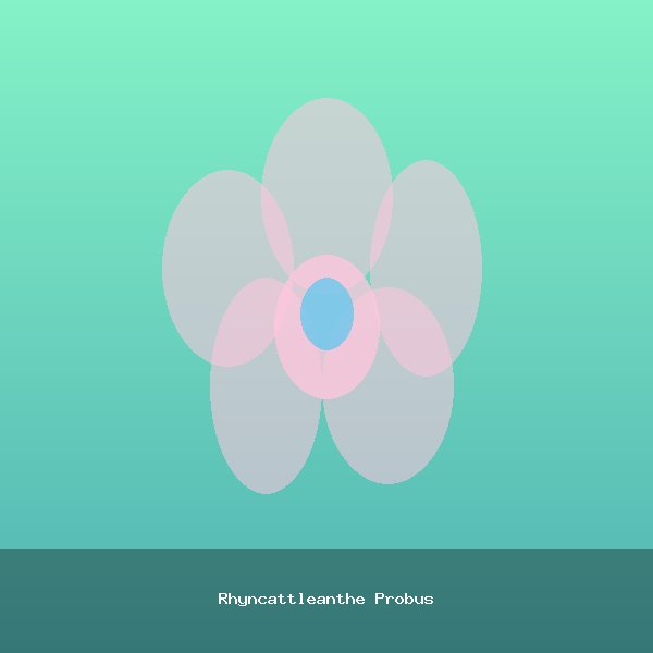 Rhyncattleanthe Probus