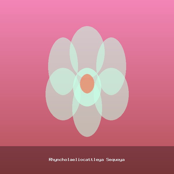 Rhyncholaeliocattleya Sequoya