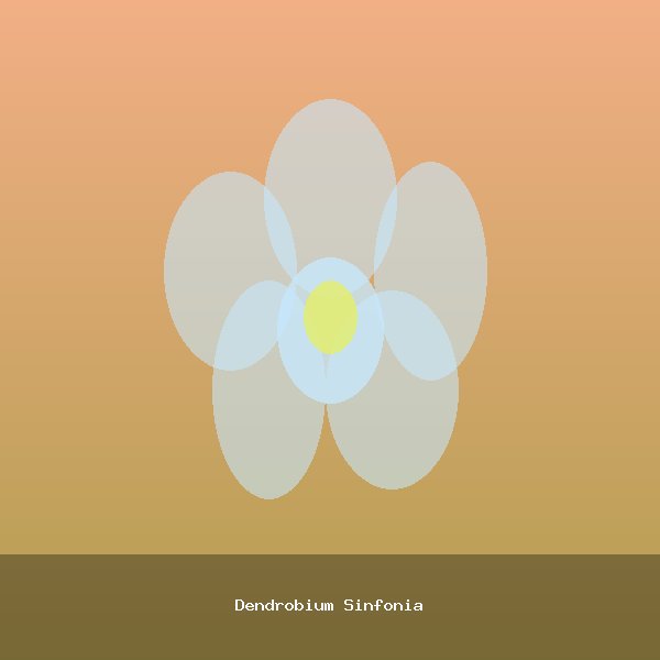 Dendrobium Sinfonia