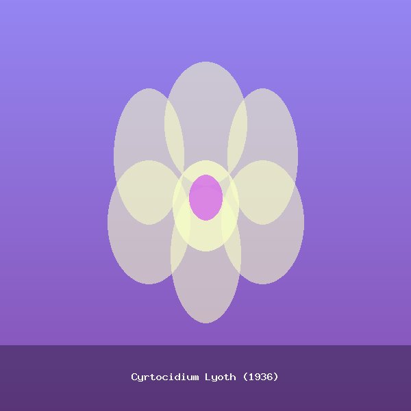 Cyrtocidium Lyoth (1936)