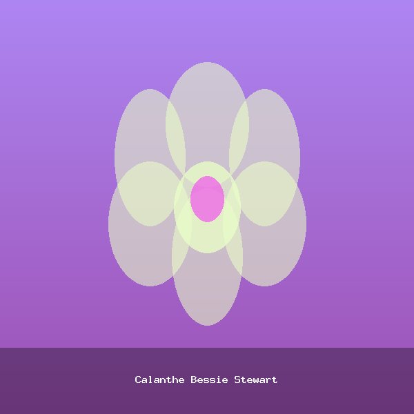 Calanthe Bessie Stewart