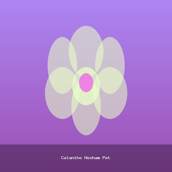 Calanthe Hexham Pet