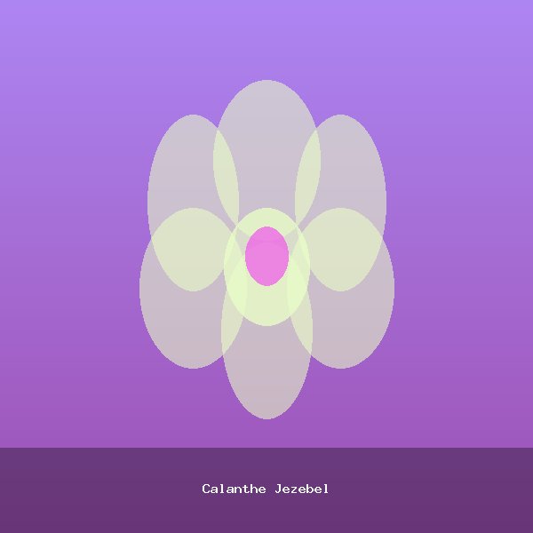 Calanthe Jezebel