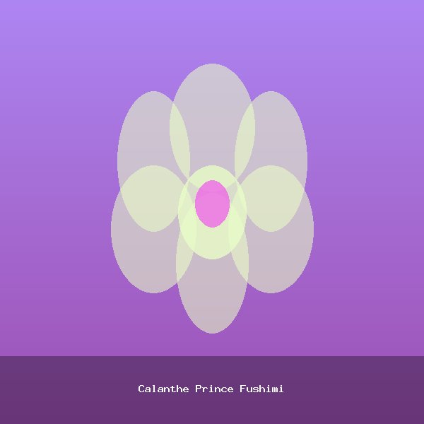 Calanthe Prince Fushimi