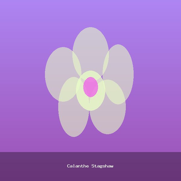 Calanthe Stagshaw