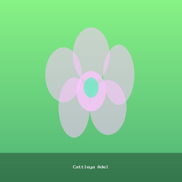 Cattleya Adel