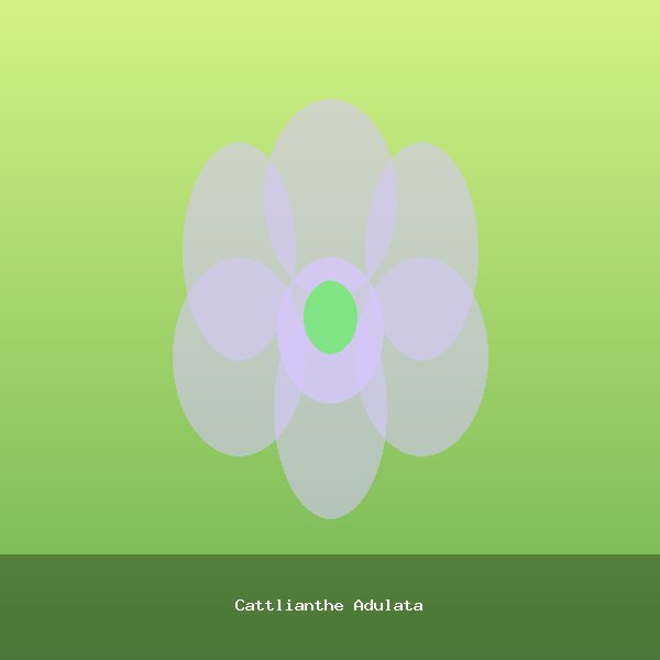 Cattlianthe Adulata