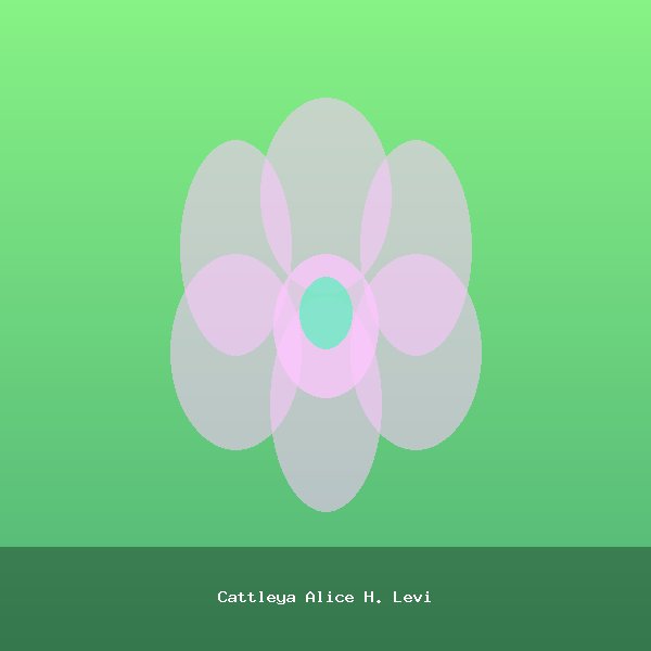 Cattleya Alice H. Levi