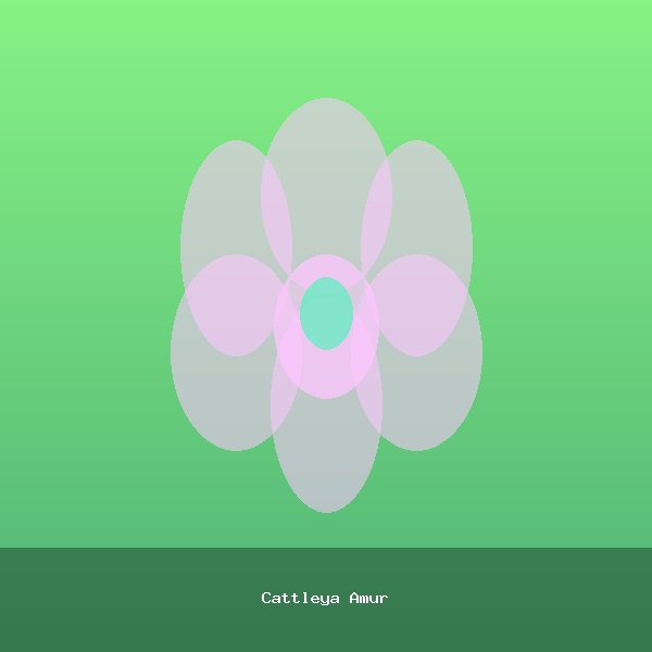 Cattleya Amur