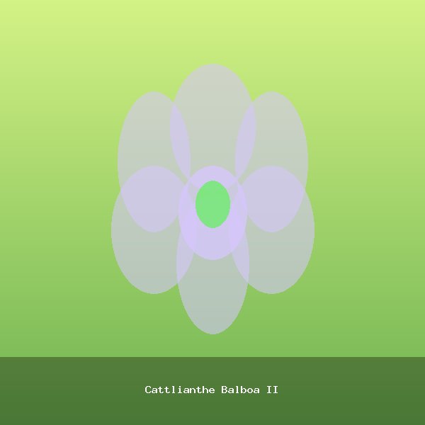Cattlianthe Balboa II