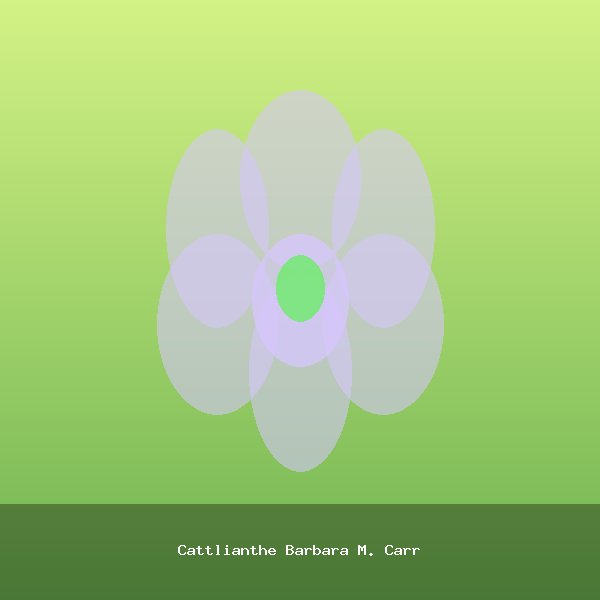 Cattlianthe Barbara M. Carr
