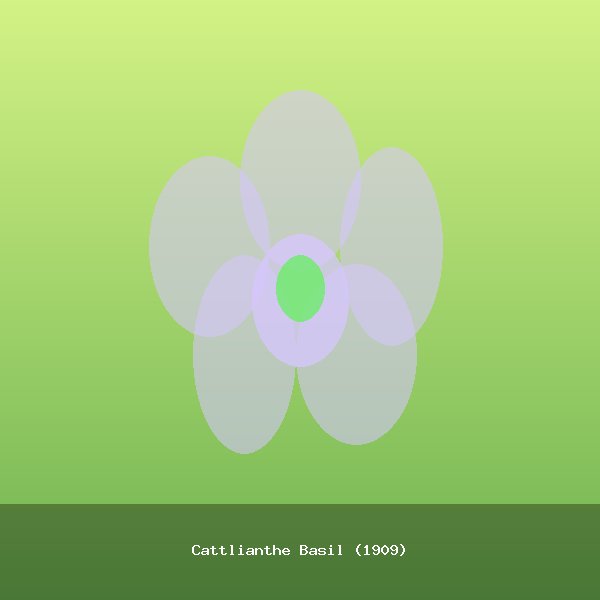 Cattlianthe Basil (1909)