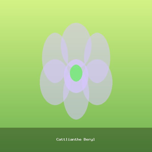 Cattlianthe Beryl