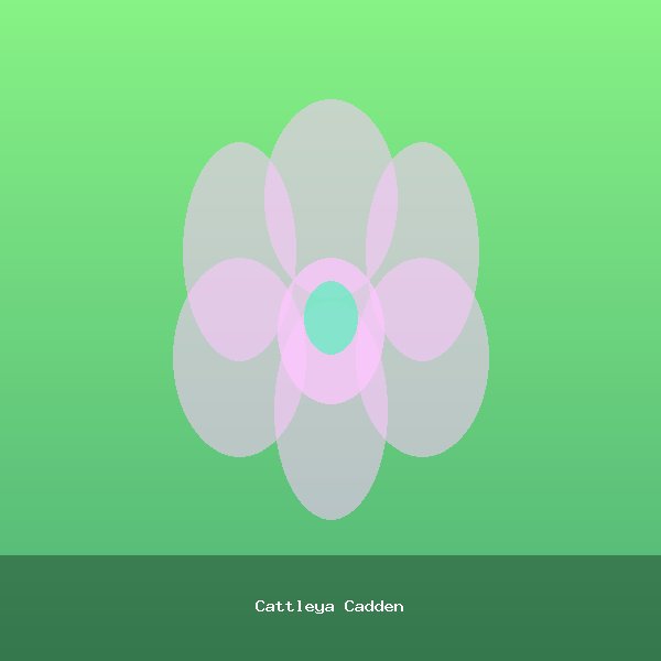 Cattleya Cadden
