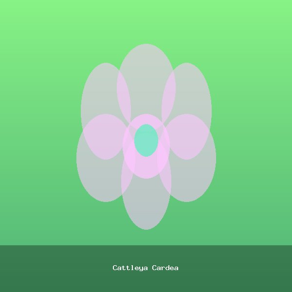 Cattleya Cardea