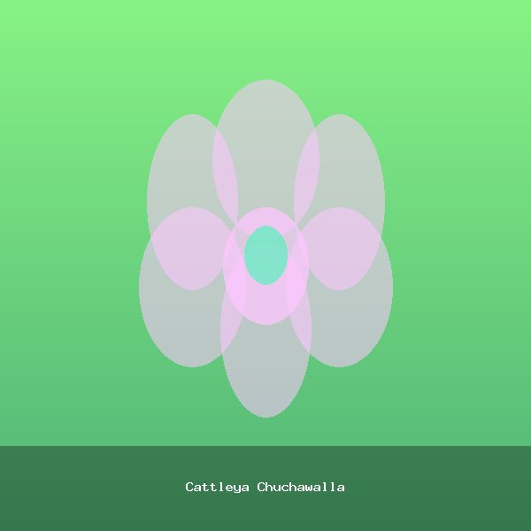 Cattleya Chuchawalla