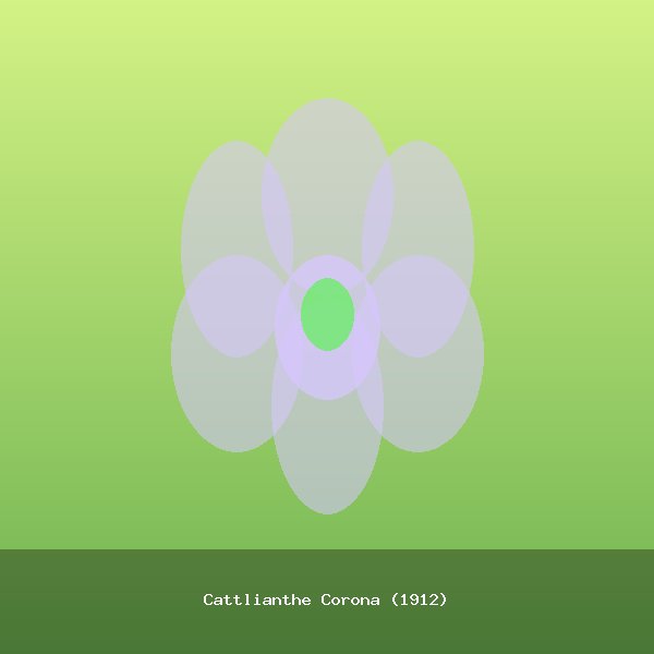Cattlianthe Corona (1912)