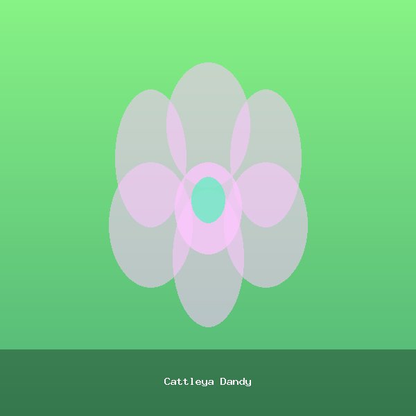 Cattleya Dandy