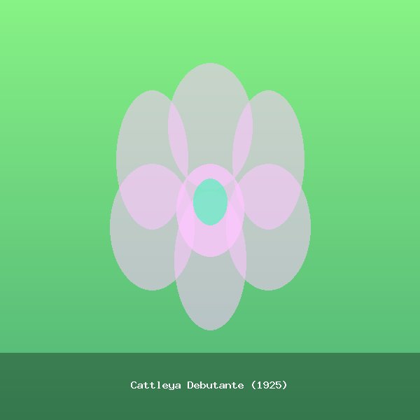 Cattleya Debutante (1925)