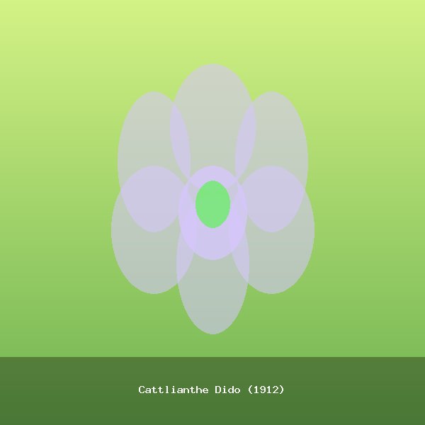 Cattlianthe Dido (1912)