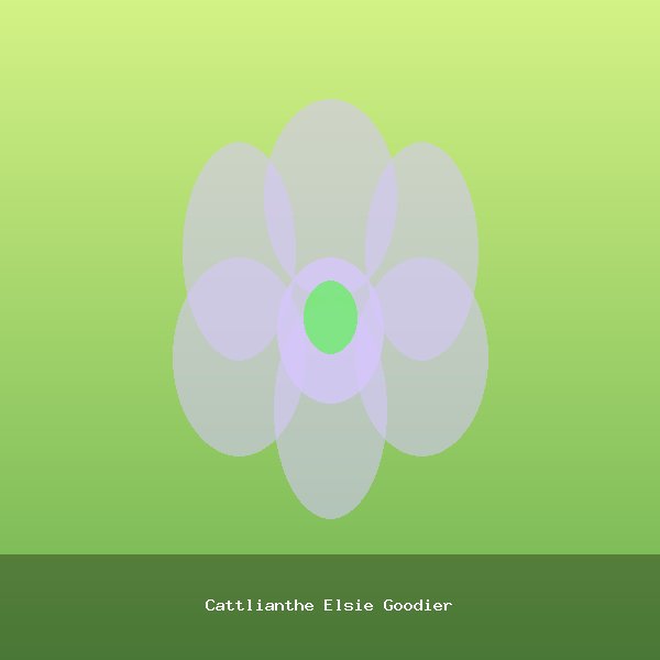Cattlianthe Elsie Goodier