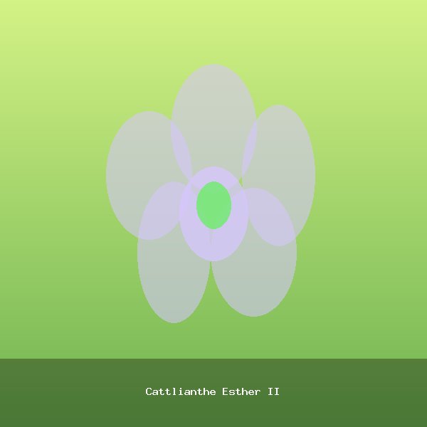 Cattlianthe Esther II