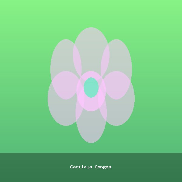 Cattleya Ganges