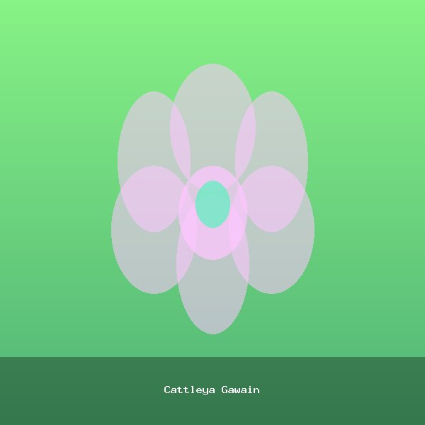 Cattleya Gawain