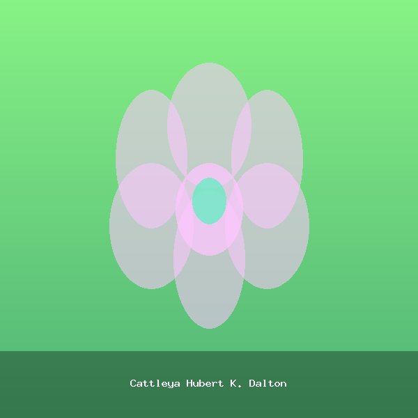 Cattleya Hubert K. Dalton