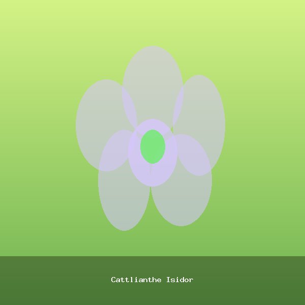 Cattlianthe Isidor