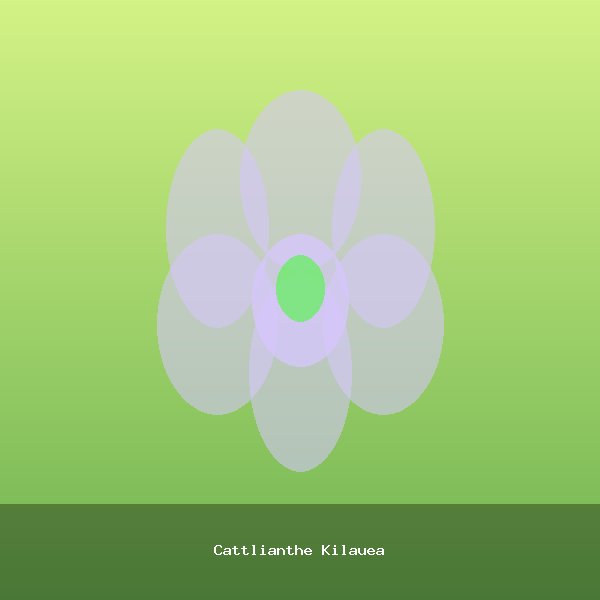 Cattlianthe Kilauea