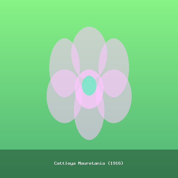 Cattleya Mauretania (1916)
