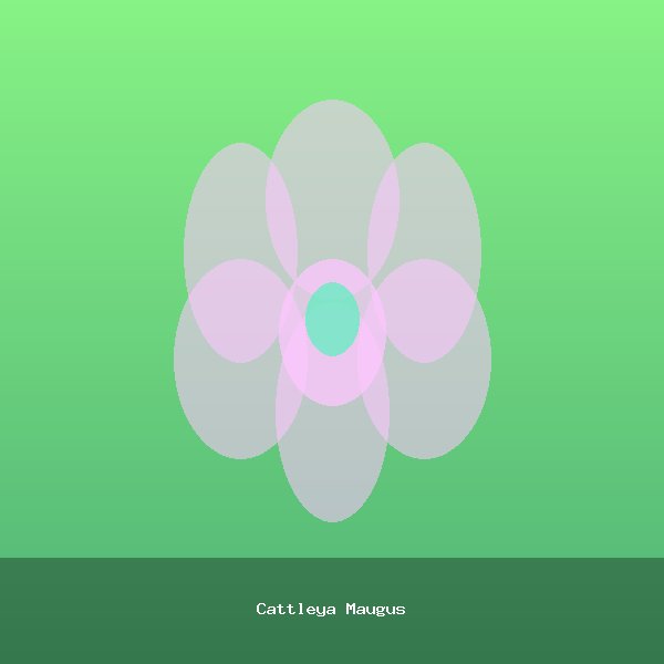 Cattleya Maugus