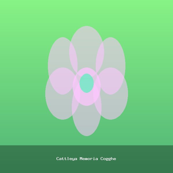 Cattleya Memoria Cogghe