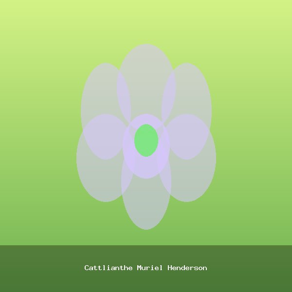 Cattlianthe Muriel Henderson