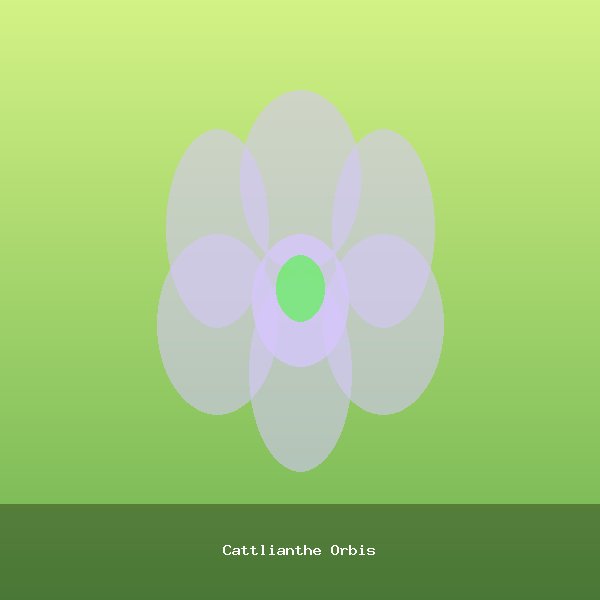Cattlianthe Orbis