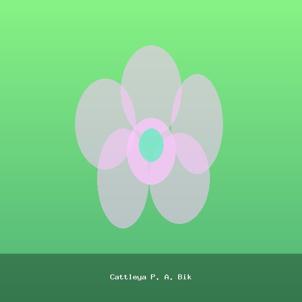 Cattleya P. A. Bik