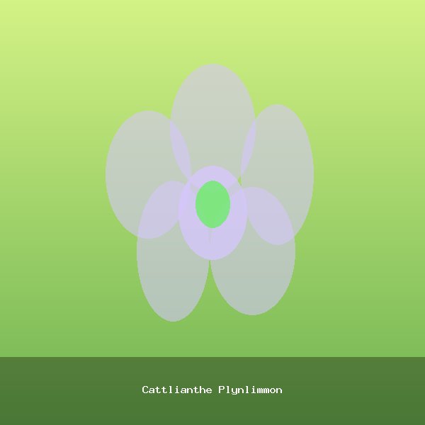 Cattlianthe Plynlimmon