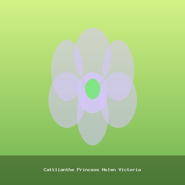 Cattlianthe Princess Helen Victoria