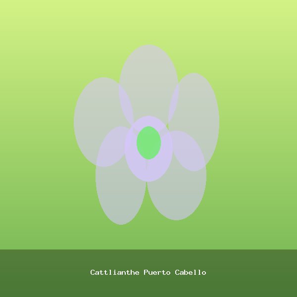 Cattlianthe Puerto Cabello