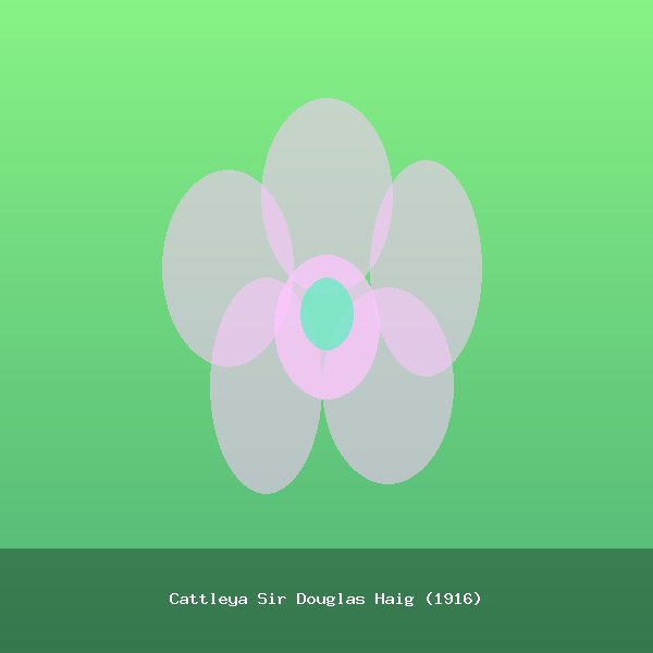 Cattleya Sir Douglas Haig (1916)