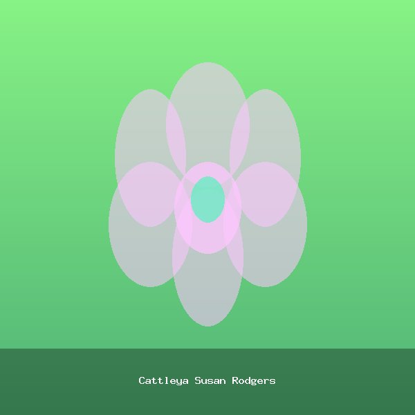 Cattleya Susan Rodgers