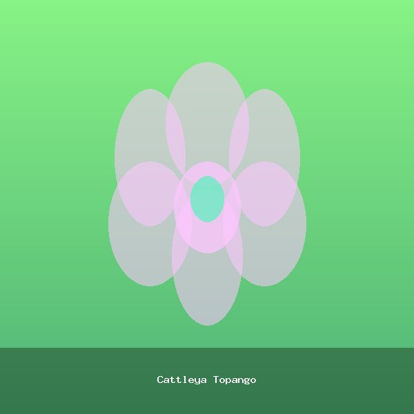 Cattleya Topango